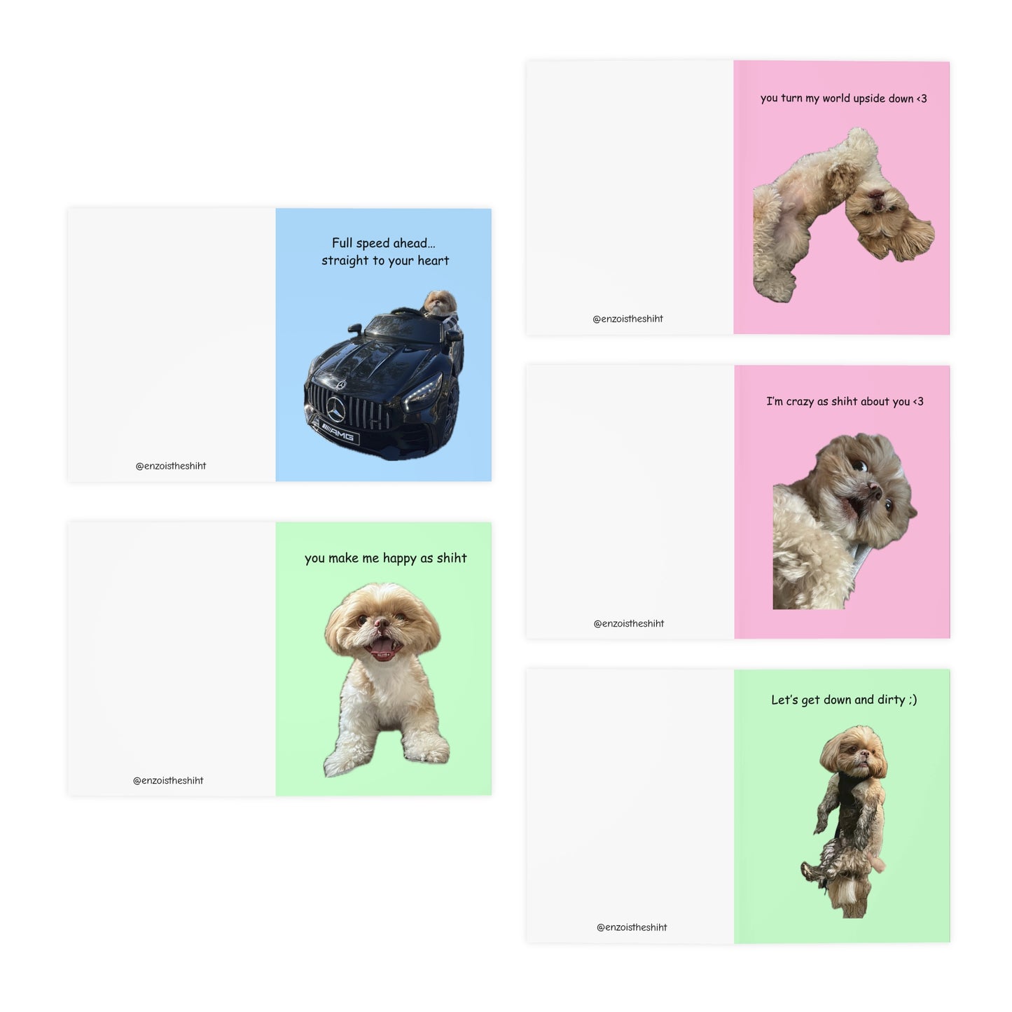 Enzo Greeting Cards (5 Pack)