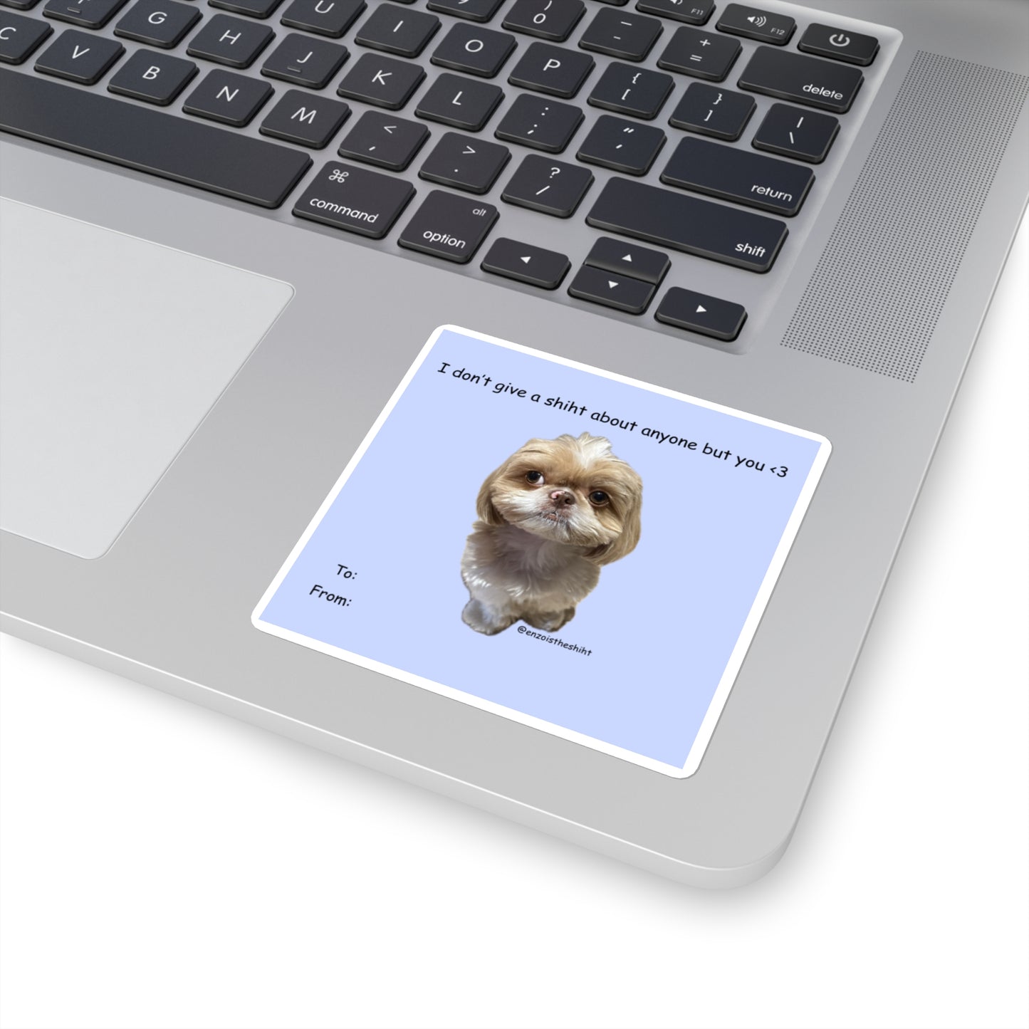 Don't Give A Shiht Sticker