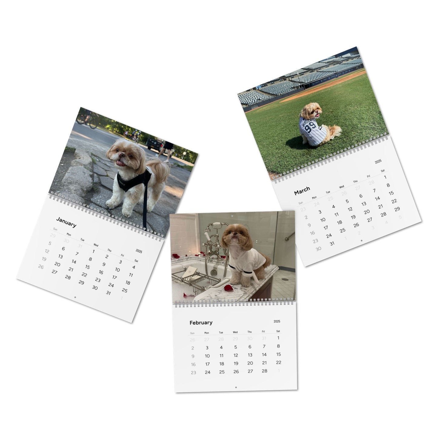 Enzo's Standard Wall Calendar (2025)