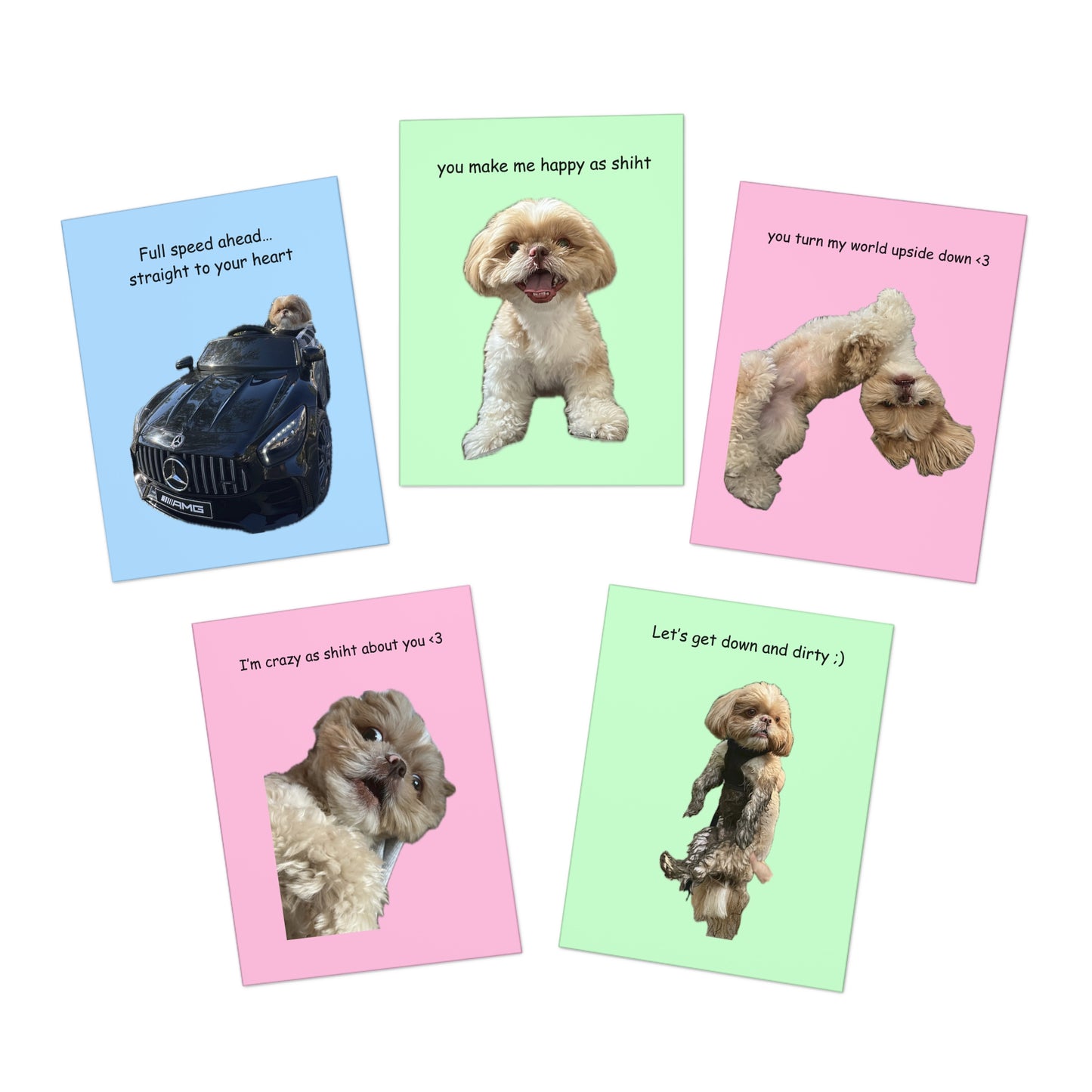 Enzo Greeting Cards (5 Pack)