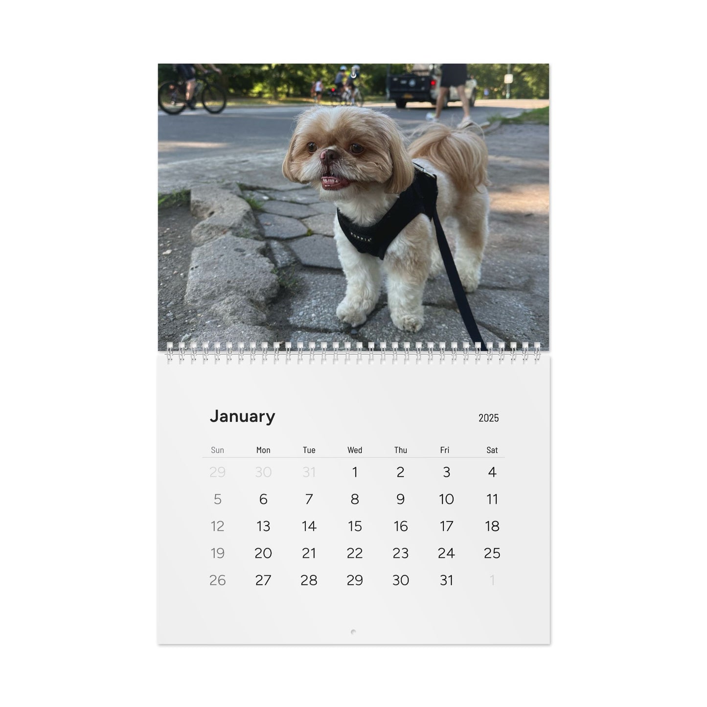 Enzo's Standard Wall Calendar (2025)
