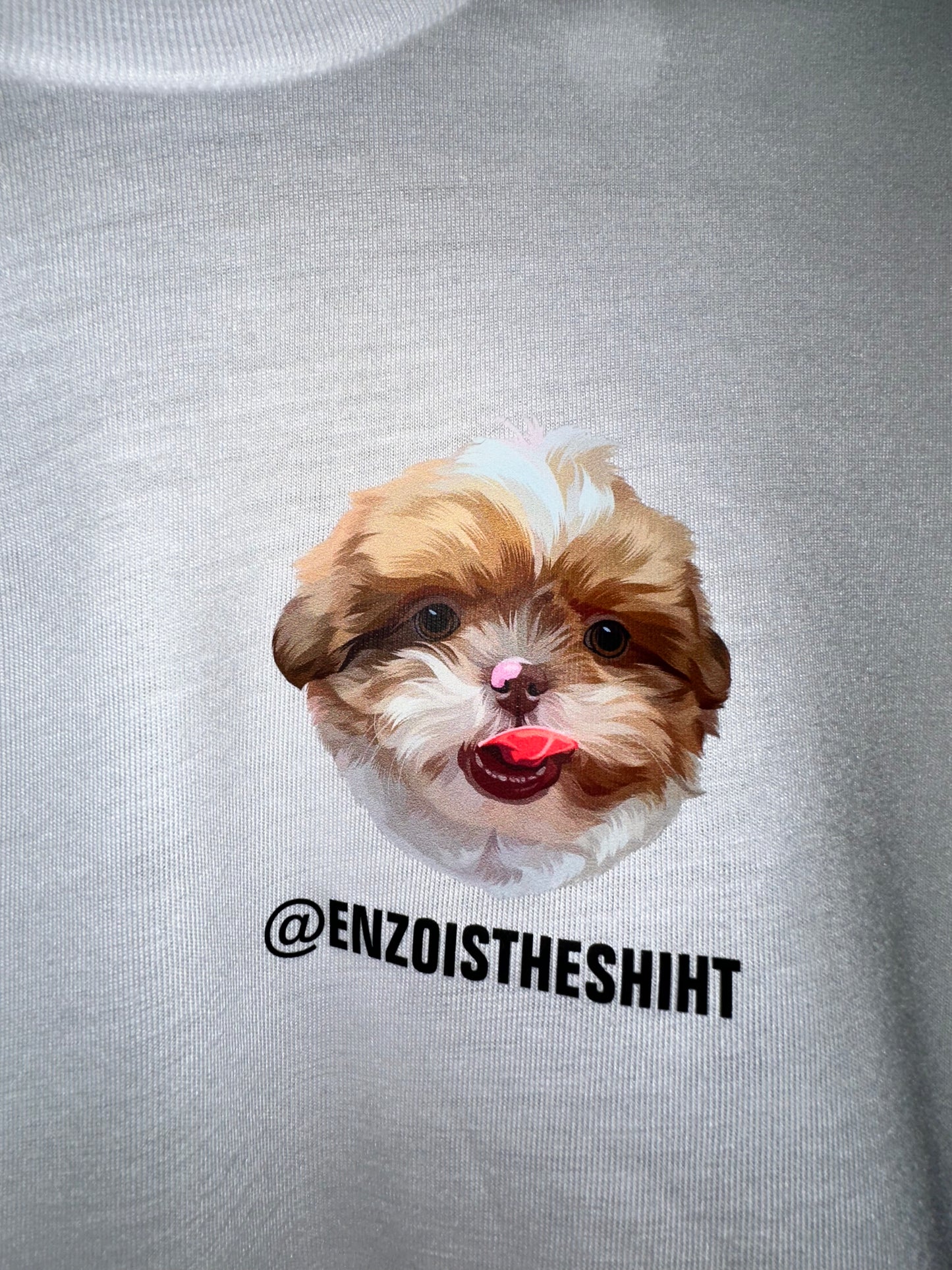 Enzo Cropped T-Shirt