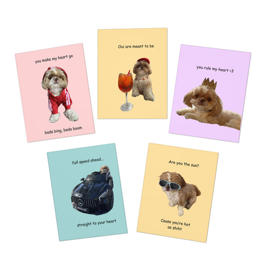 Enzo Greeting Cards (5 pack)