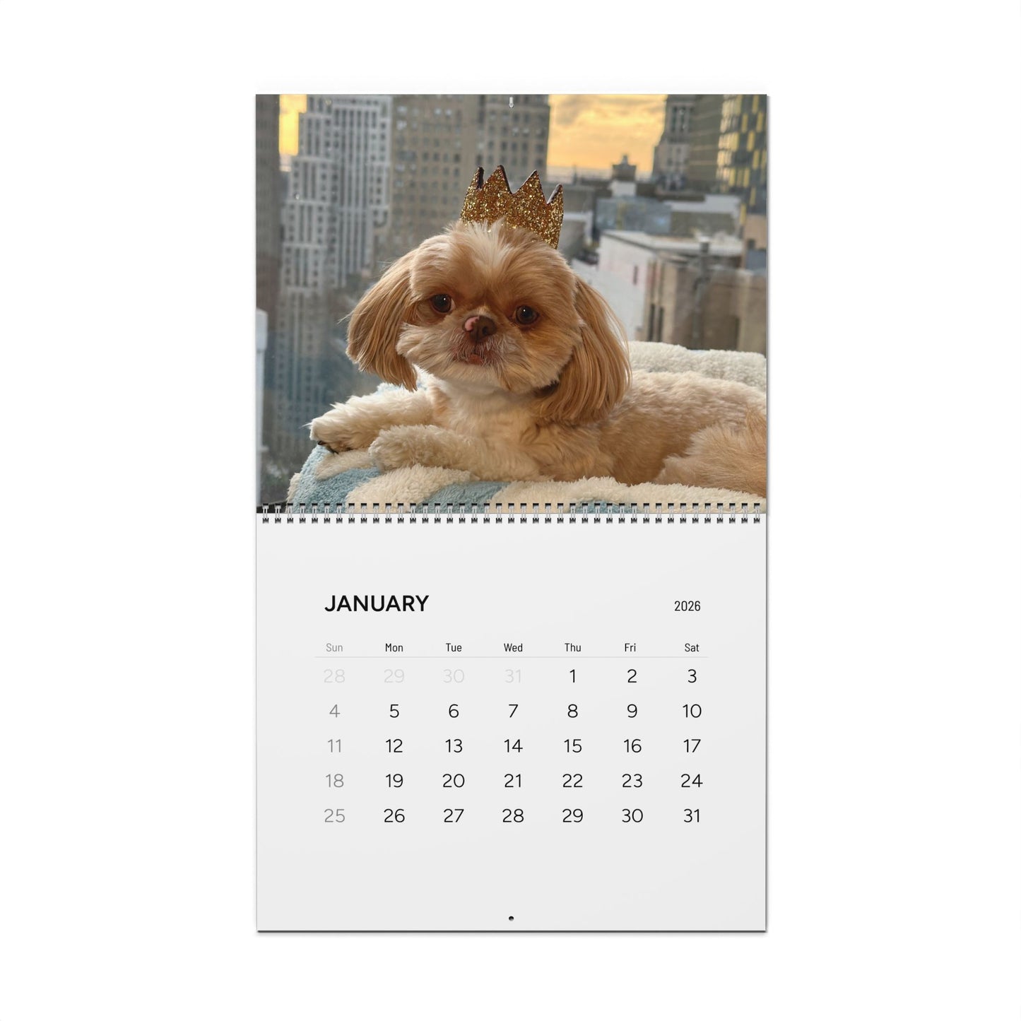 2026 Enzo Wall Calendar