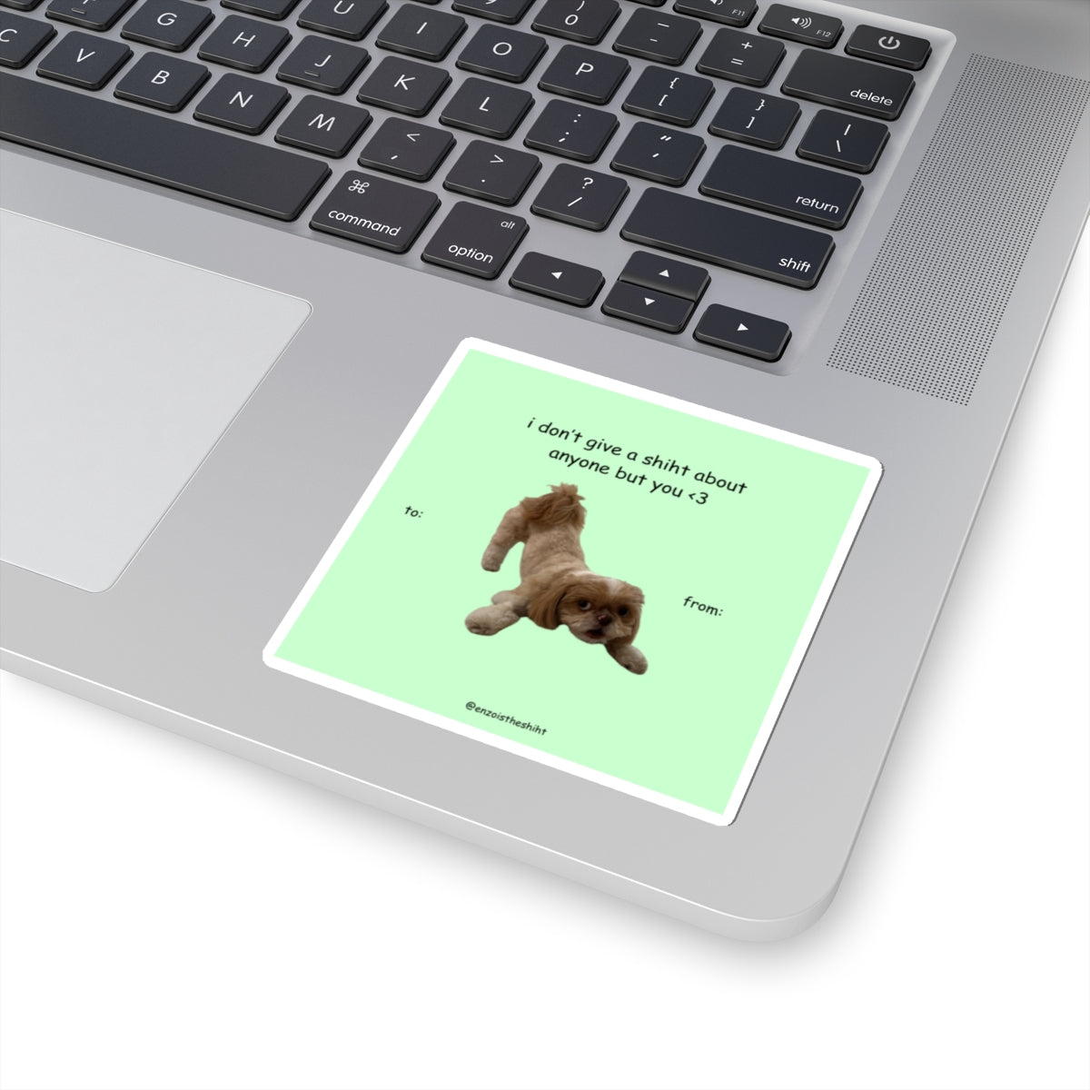Don't Give a Shiht Sticker