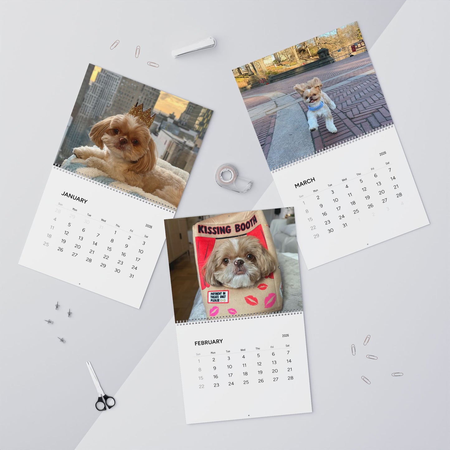 2026 Enzo Wall Calendar