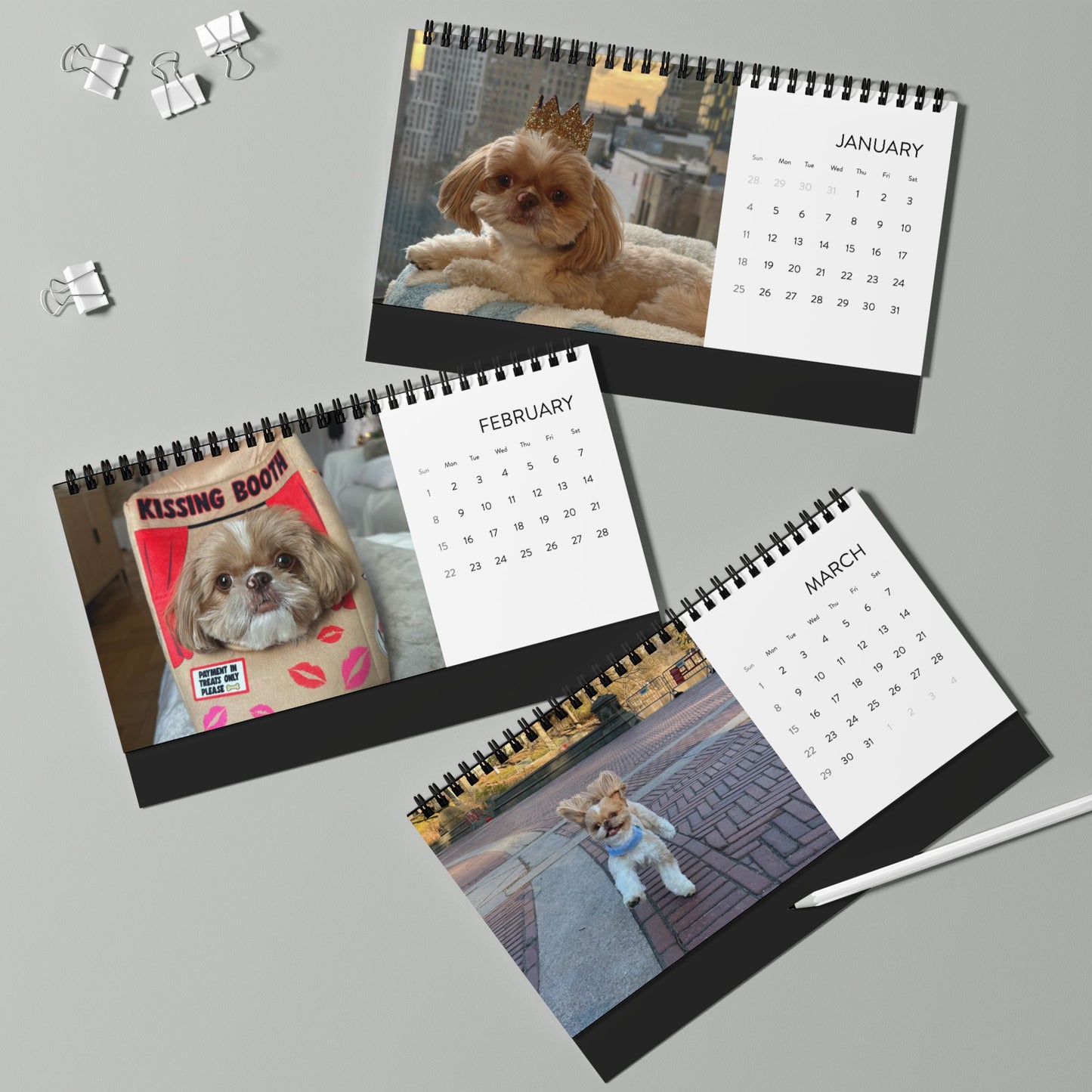 2026 Enzo Desktop Photo Calendar