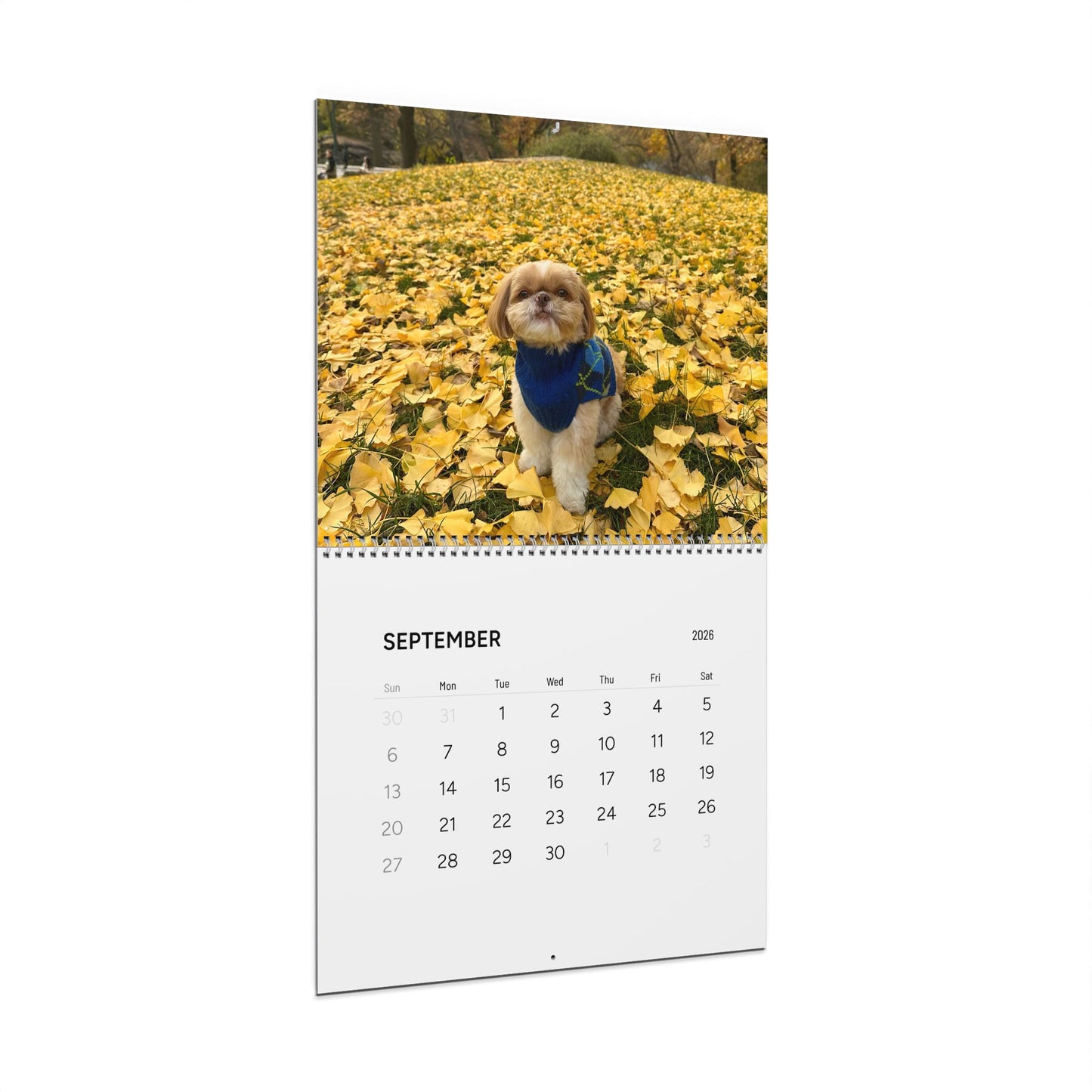 2026 Enzo Wall Calendar