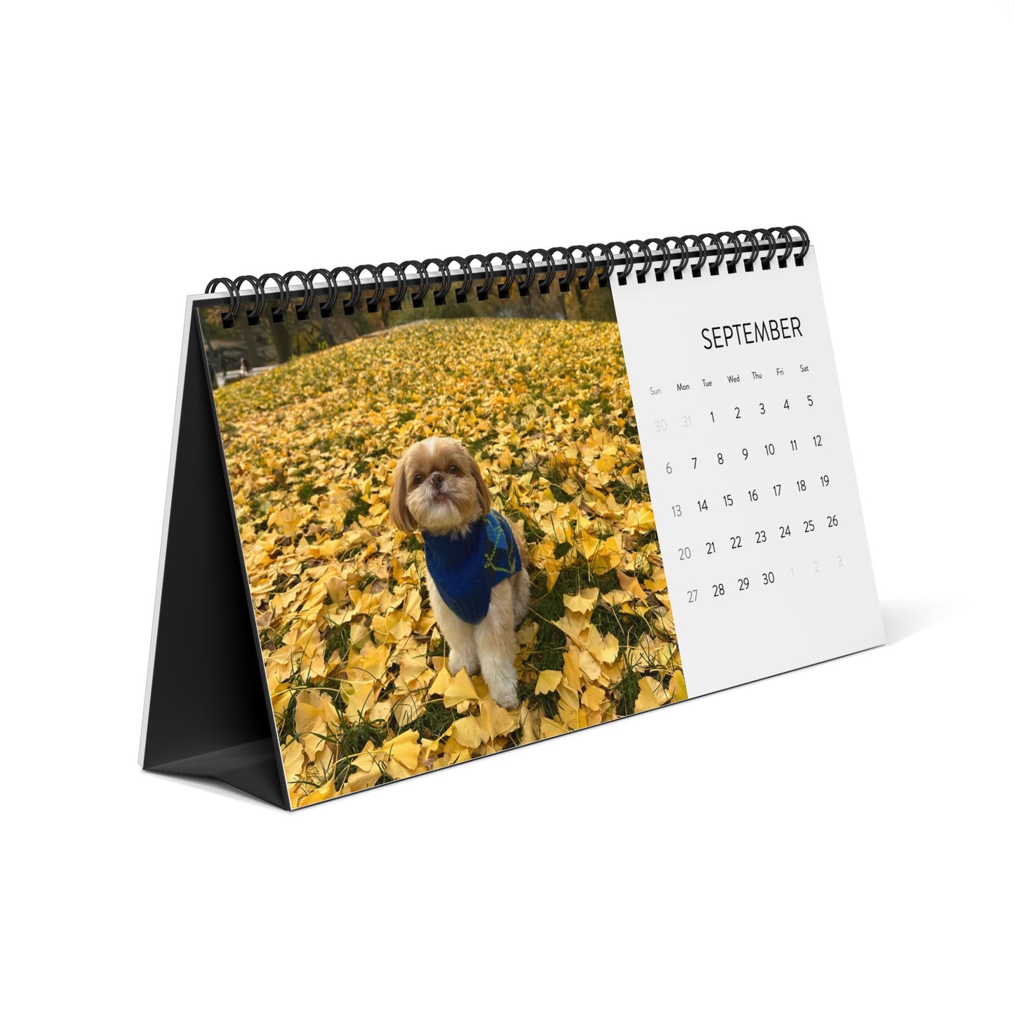 2026 Enzo Desktop Photo Calendar