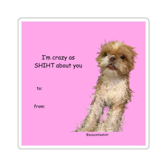 Crazy as SHIHT Sticker